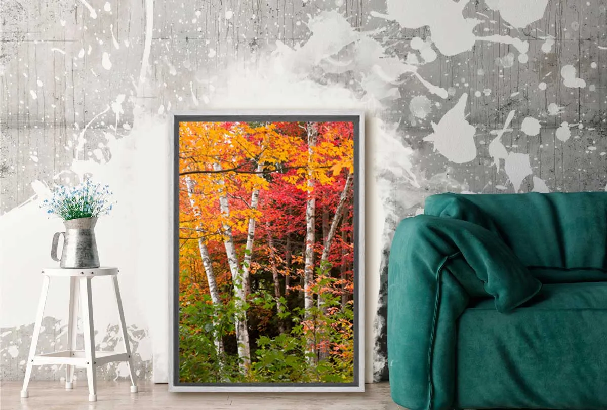Autumn Forest 3 | Canvas Wall Art Print