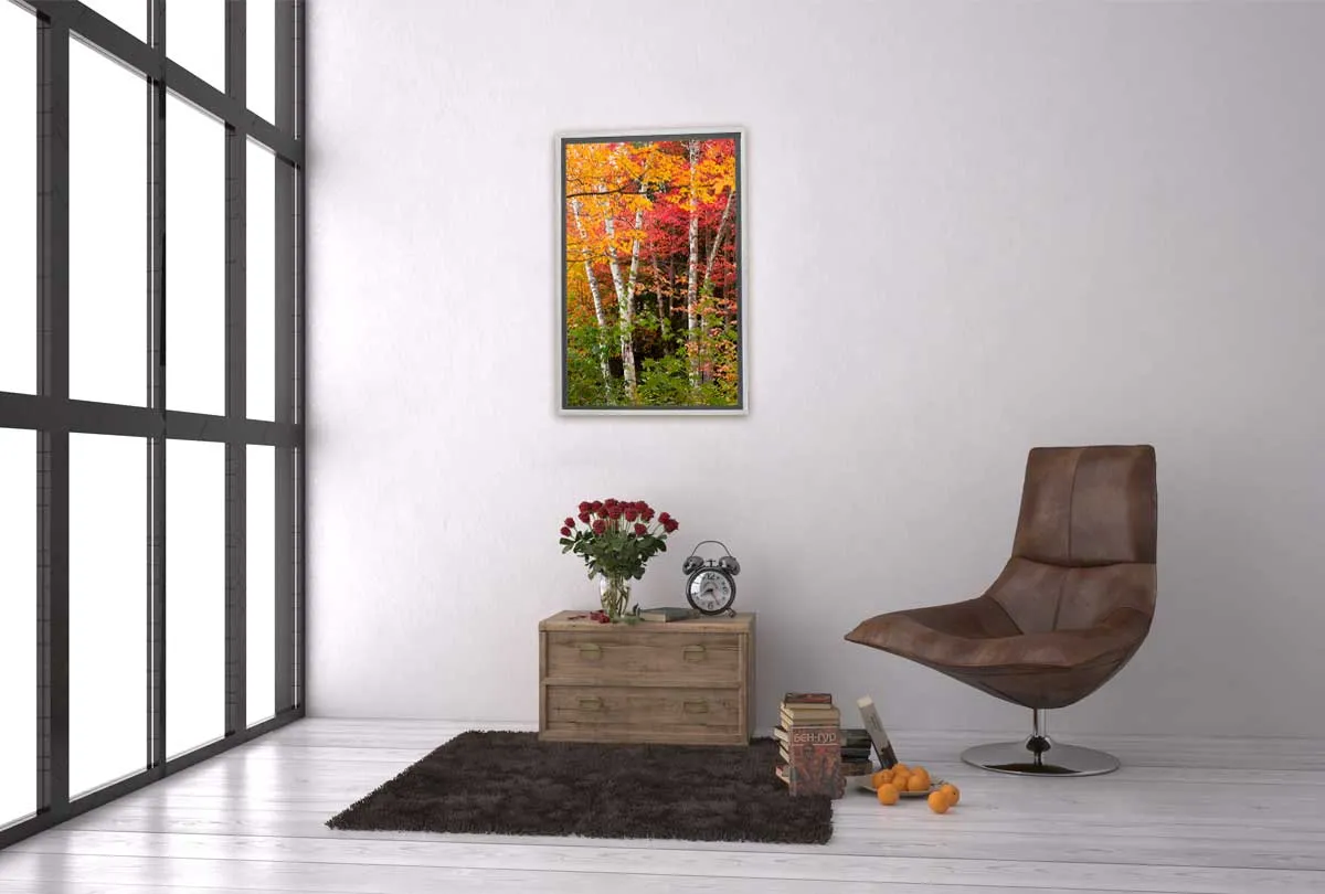 Autumn Forest 3 | Canvas Wall Art Print