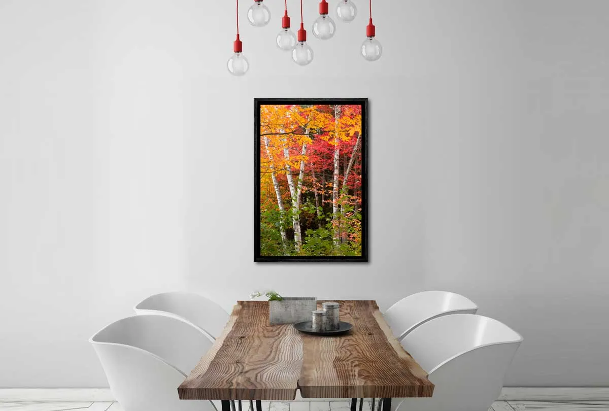 Autumn Forest 3 | Canvas Wall Art Print