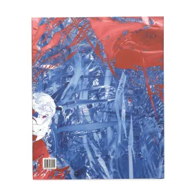 Compass in Hand: Selections from The Judith Rothschild Foundation Contemporary Drawings Collection - Hardcover