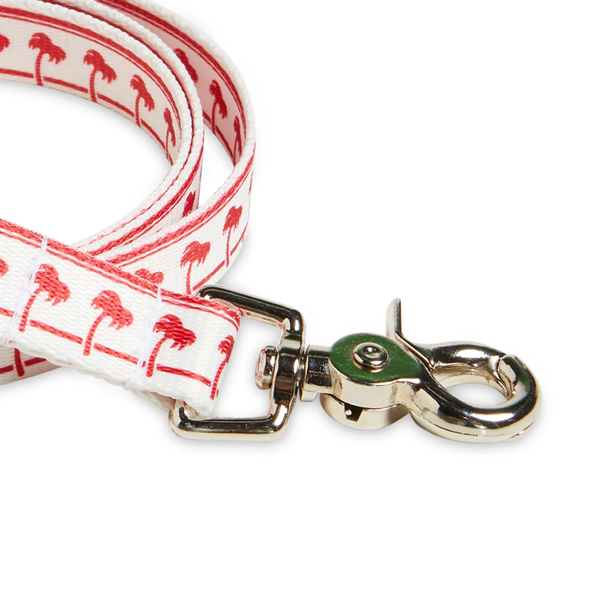 Dog Leash