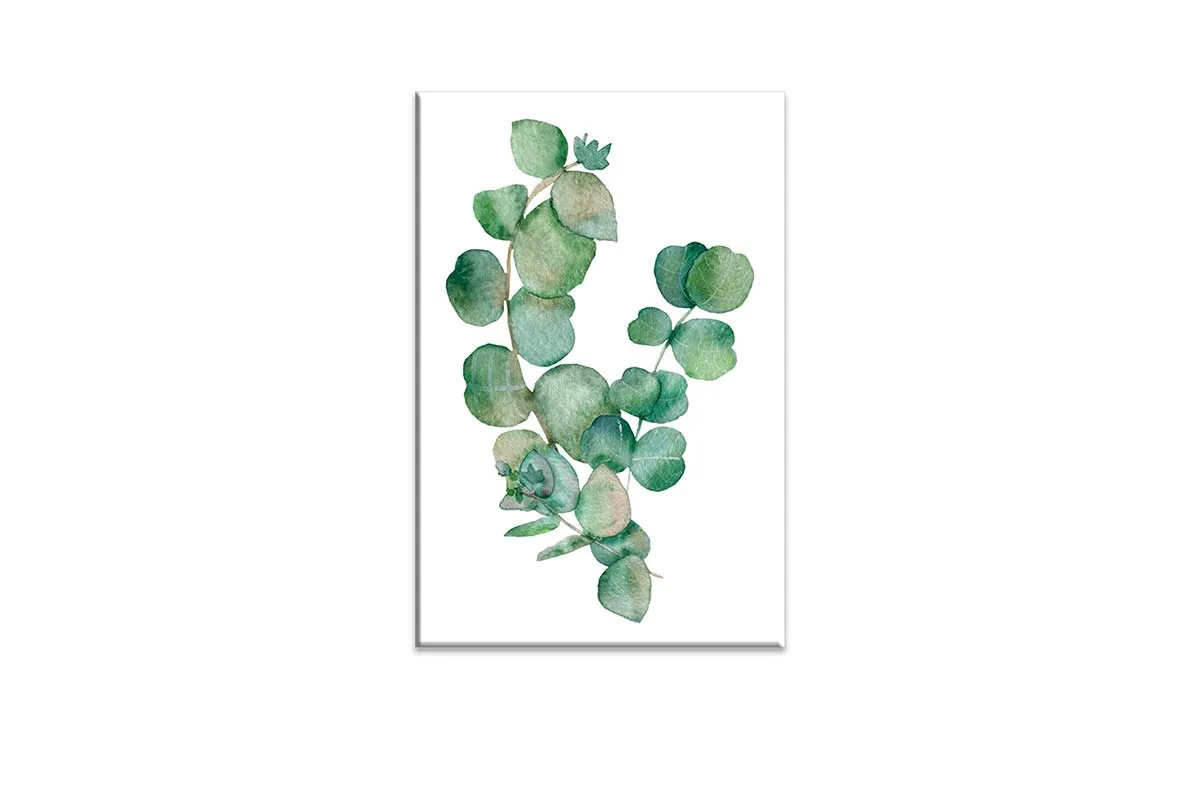 Eucalyptus Gum Leaves 2 | Canvas Wall Art Print
