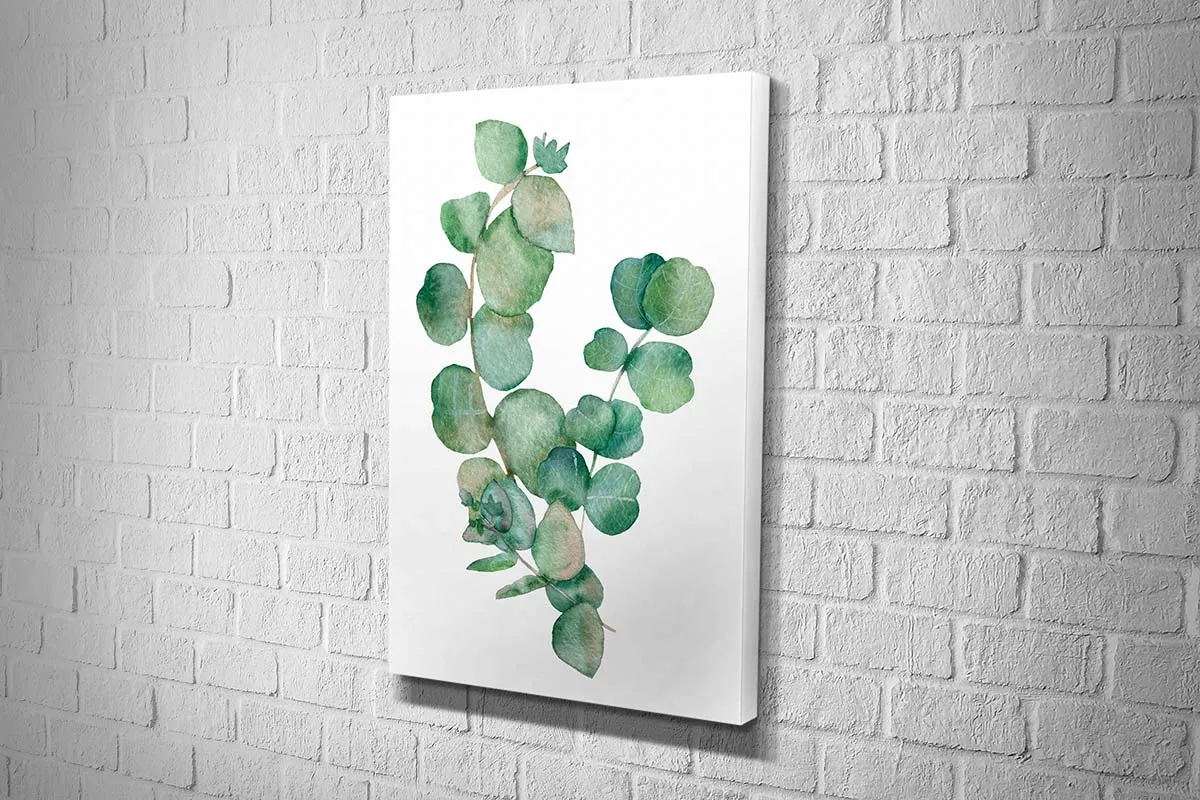Eucalyptus Gum Leaves 2 | Canvas Wall Art Print
