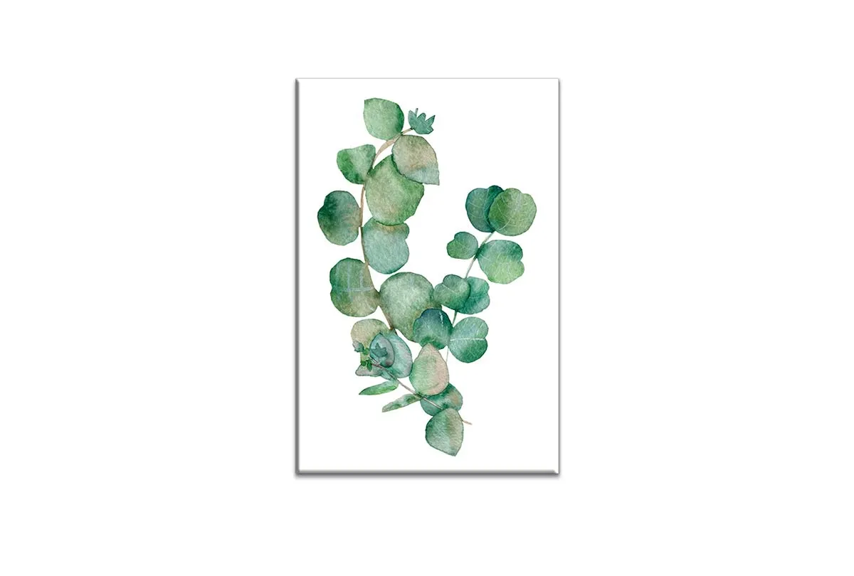 Eucalyptus Gum Leaves 2 | Canvas Wall Art Print