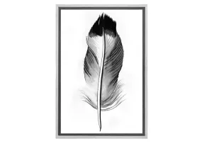 Feather in Black and White 2 | Feather Wall Art