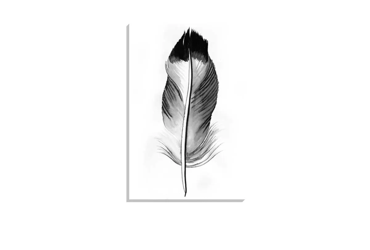 Feather in Black and White 2 | Feather Wall Art