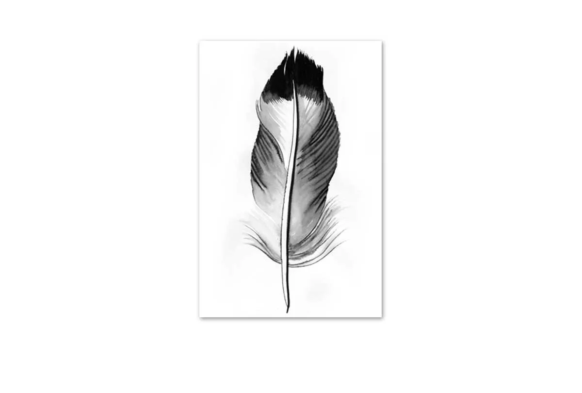 Feather in Black and White 2 | Feather Wall Art