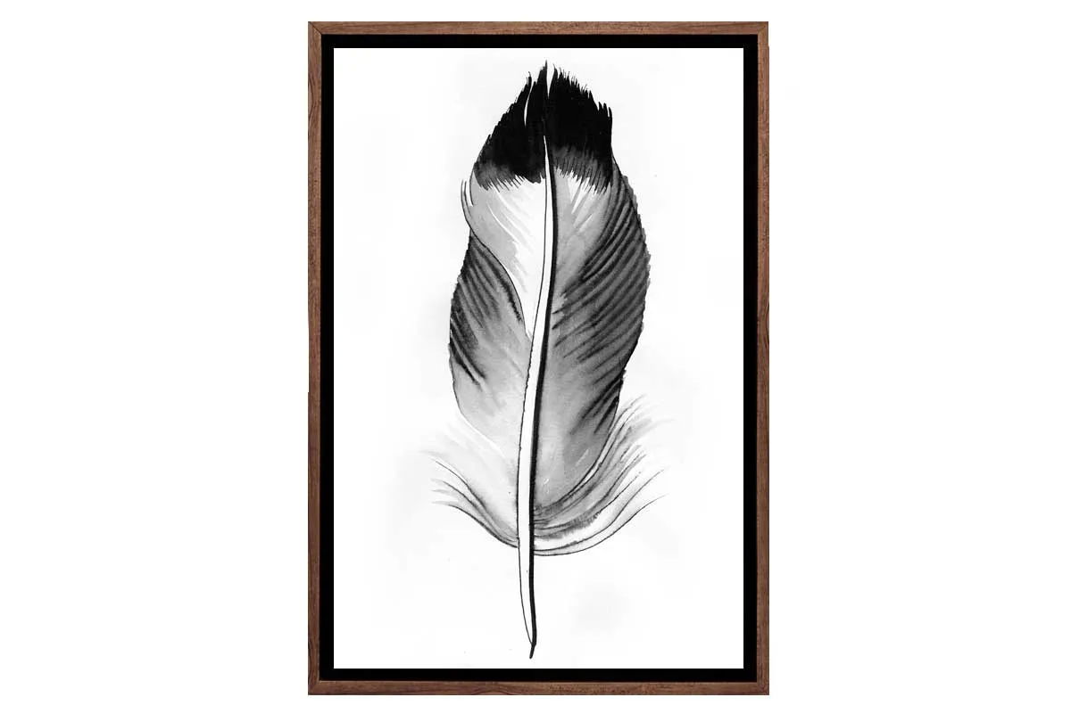 Feather in Black and White 2 | Feather Wall Art