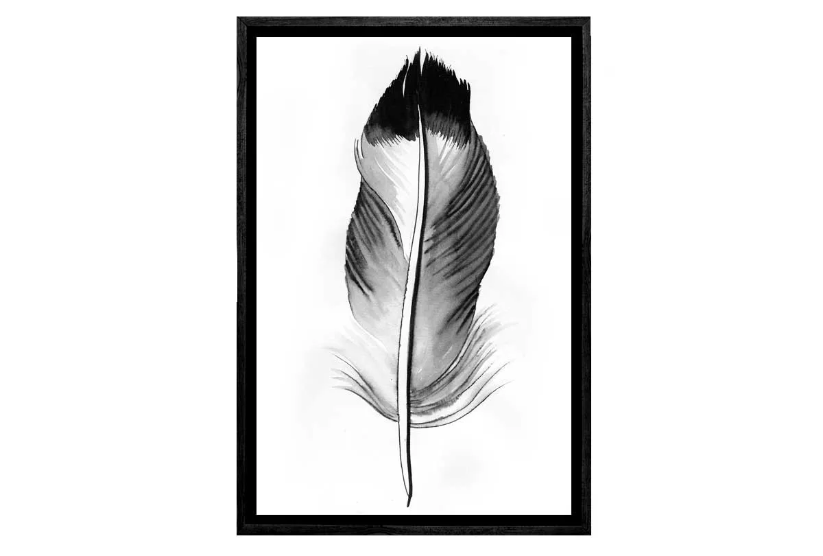 Feather in Black and White 2 | Feather Wall Art