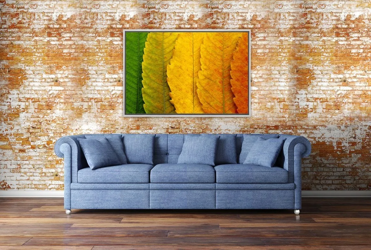 Leaves Close-up | Canvas Art Print