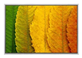 Leaves Close-up | Canvas Art Print