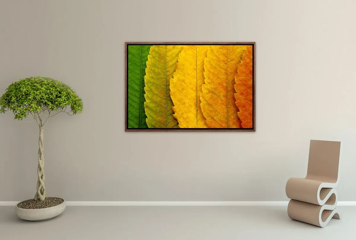 Leaves Close-up | Canvas Art Print