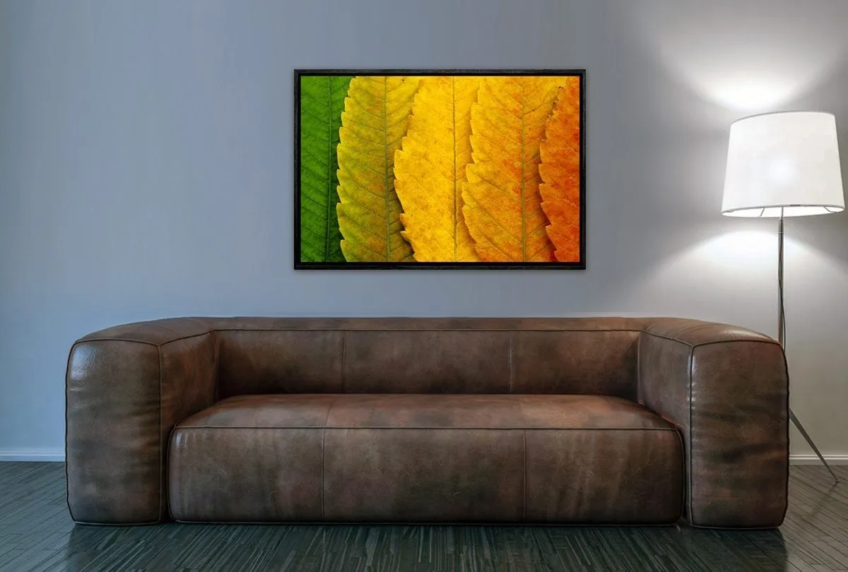 Leaves Close-up | Canvas Art Print