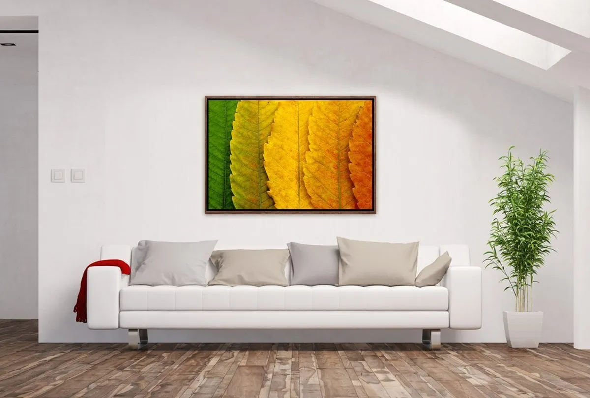 Leaves Close-up | Canvas Art Print
