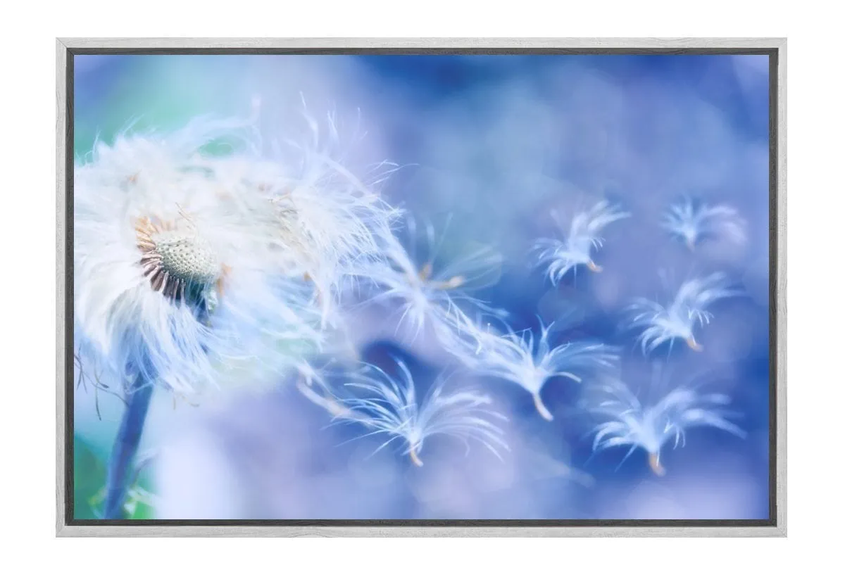 Make a Wish | Canvas Art Print
