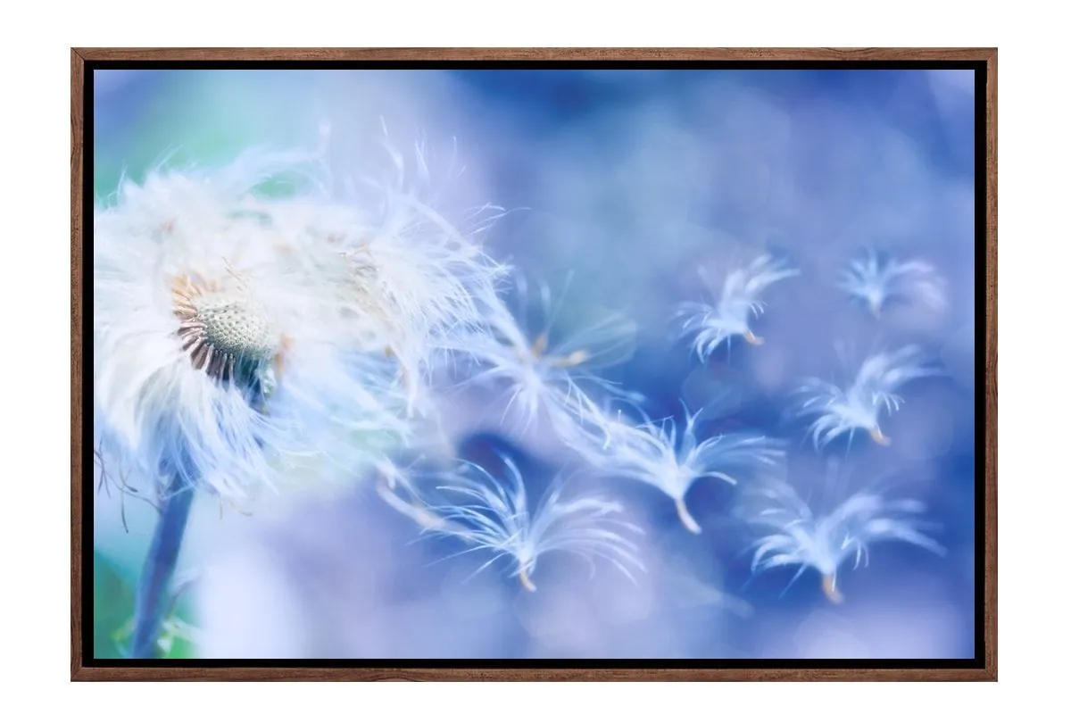 Make a Wish | Canvas Art Print