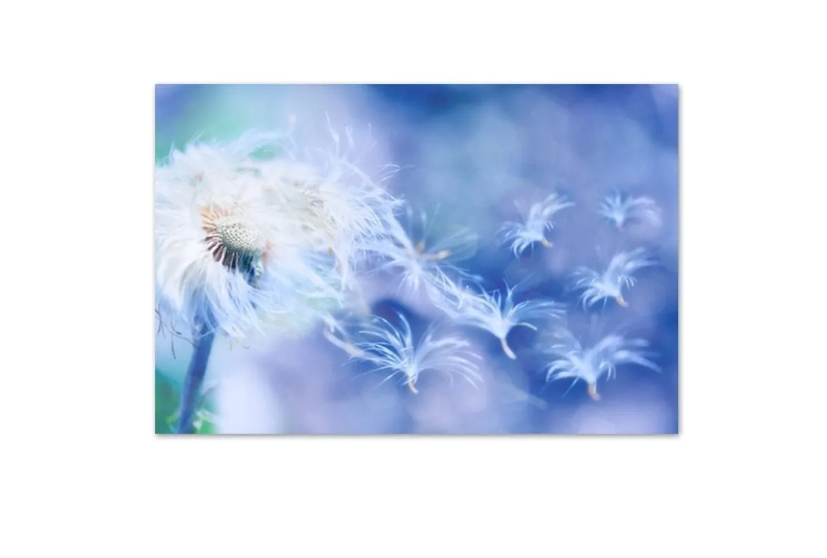 Make a Wish | Canvas Art Print