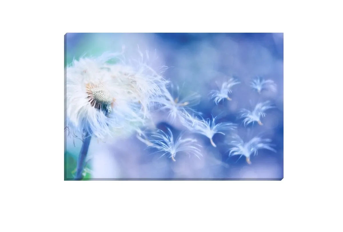 Make a Wish | Canvas Art Print