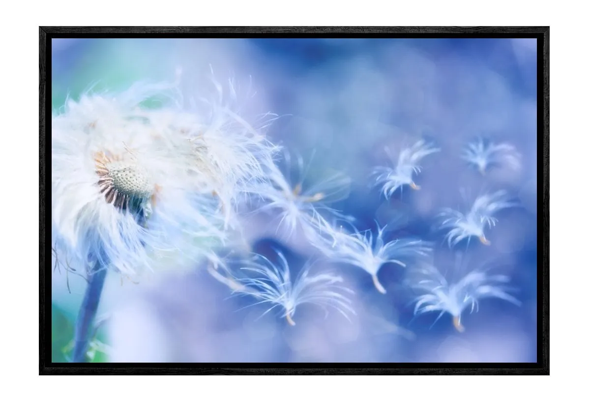 Make a Wish | Canvas Art Print