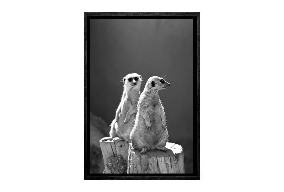 Meerkats Black and White | Canvas Wall Art Print