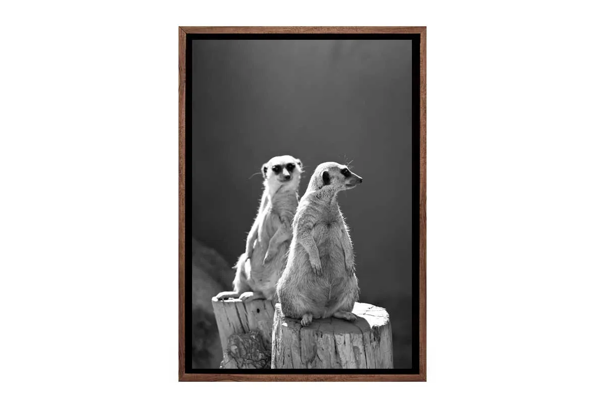 Meerkats Black and White | Canvas Wall Art Print