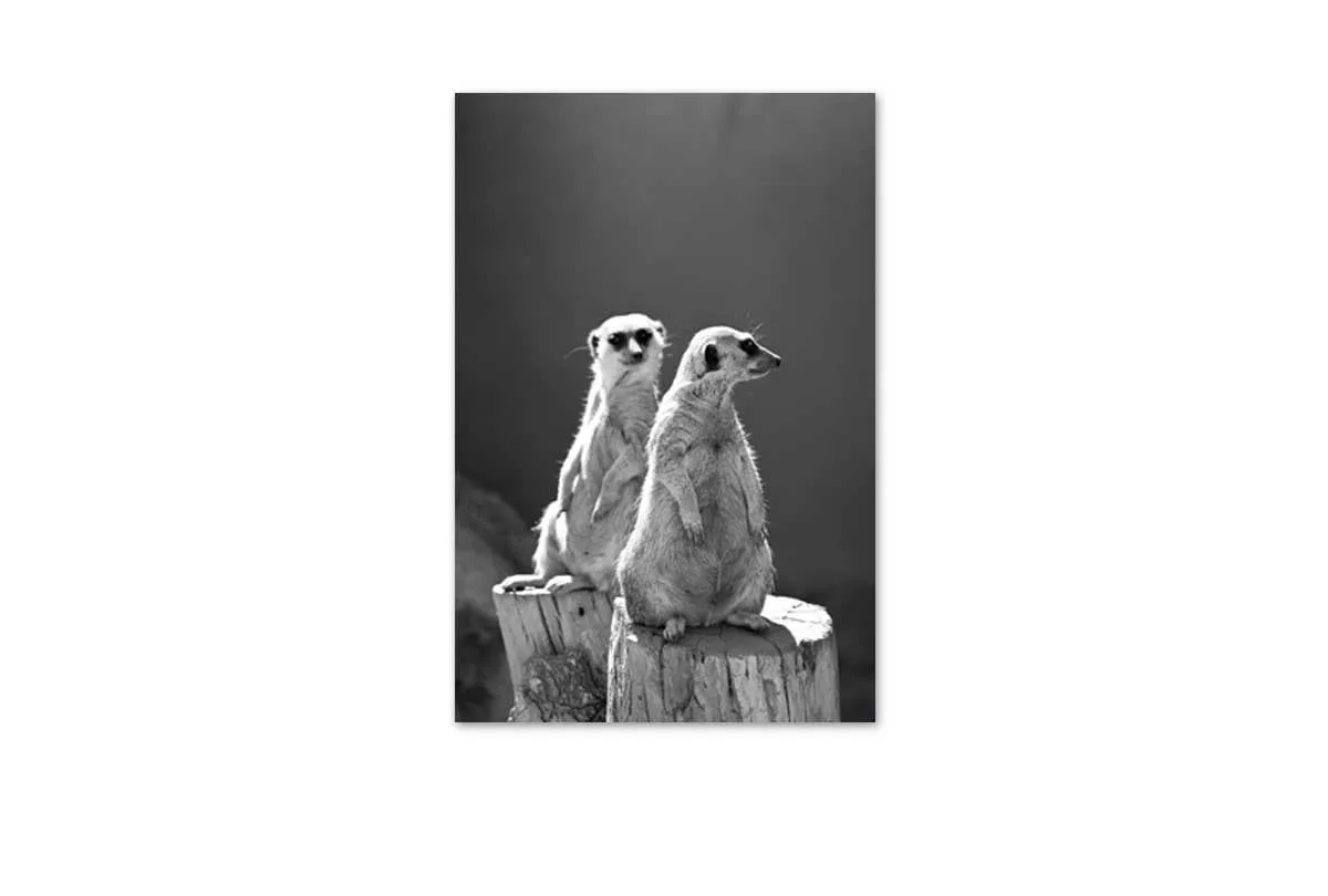 Meerkats Black and White | Canvas Wall Art Print
